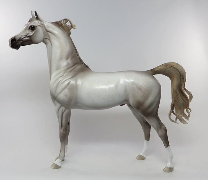 prince philip rose grey arabian 
