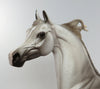 PRINCE PHILLIP LIMITED EDITION DAPPLE ROSE GREY ARABIAN EQUILOCITY 2016