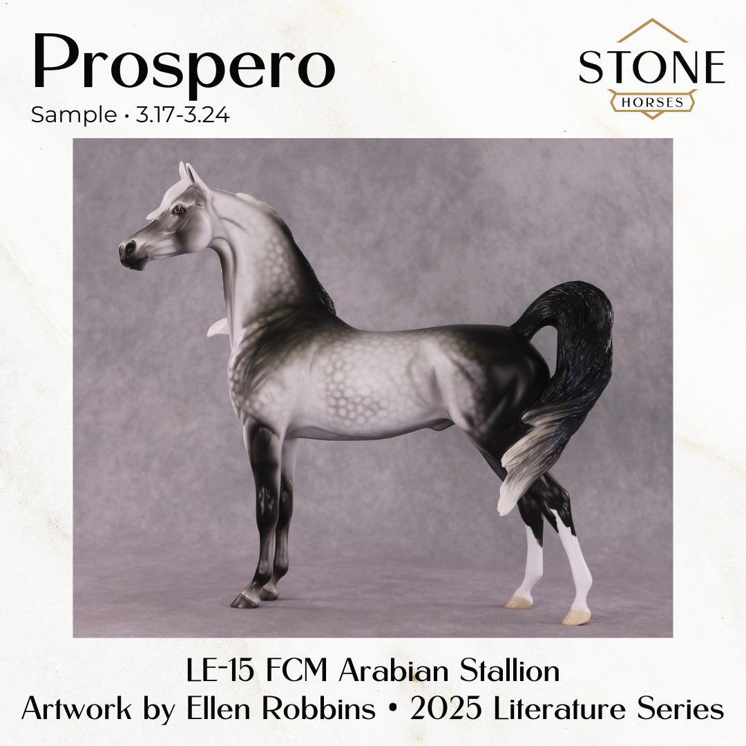 SAMPLE Prospero LE-15 FCM Arabian Stallion by Ellen Robbins SS0326