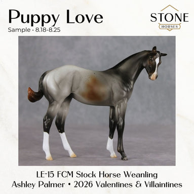 SAMPLE Puppy Love LE-15 FCM Stock Horse Weanling by Ashley Palmer SS0826