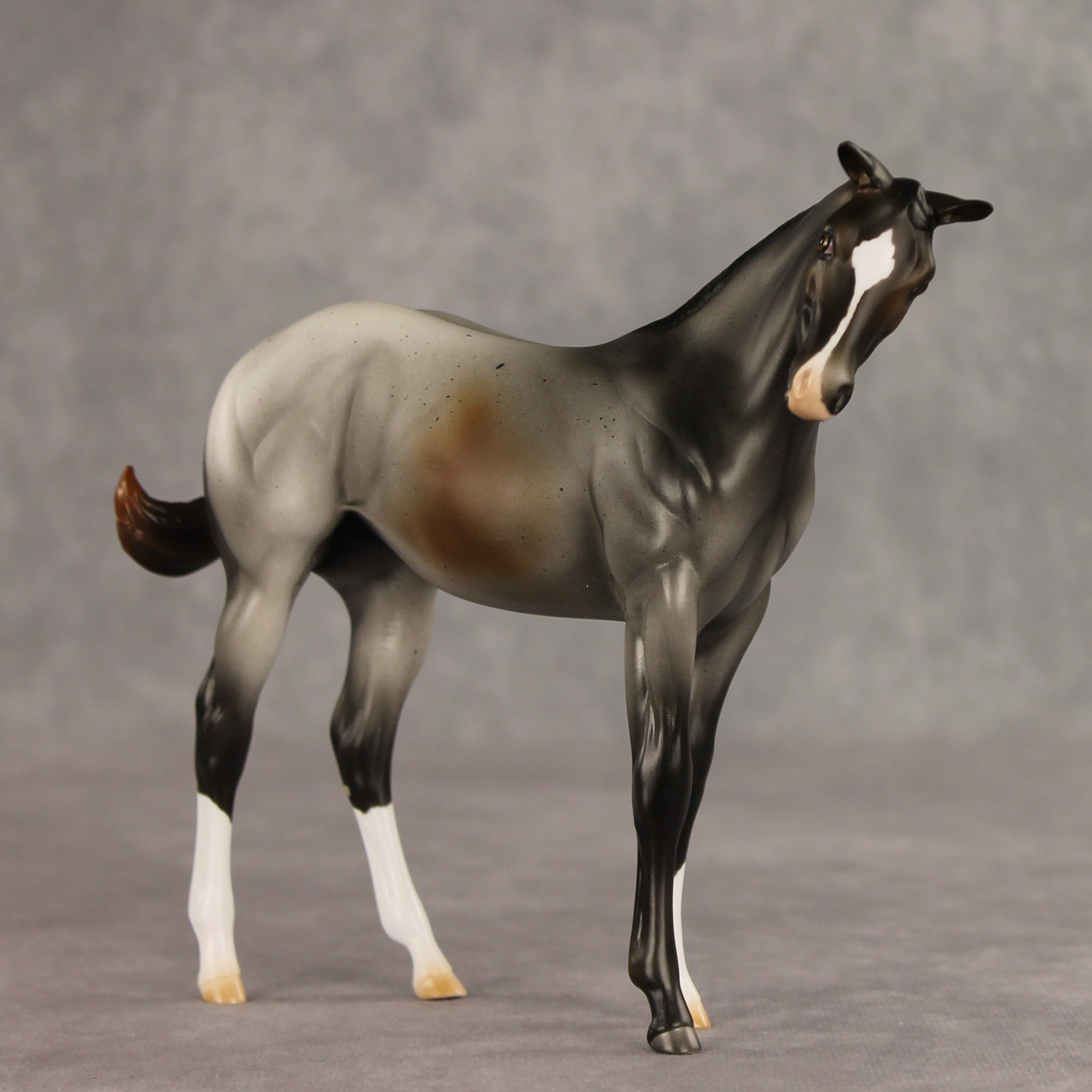 SAMPLE Puppy Love LE-15 FCM Stock Horse Weanling by Ashley Palmer SS0826