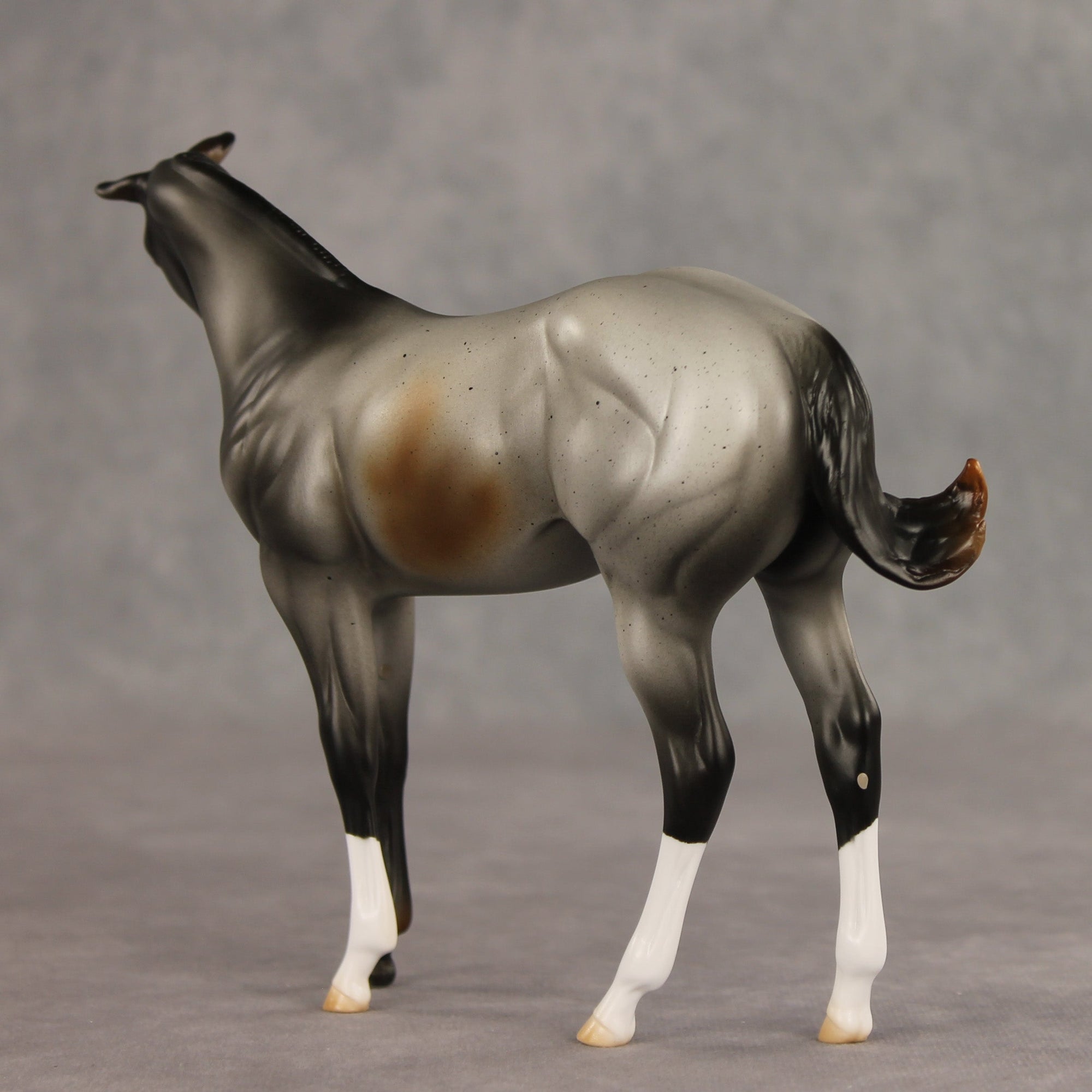 SAMPLE Puppy Love LE-15 FCM Stock Horse Weanling by Ashley Palmer SS0826