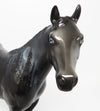 PURE MICHIGAN-OOAK DAPPLE BLACK DECORATOR ISH MODEL HORSE EQ 2017