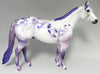 purple splendor