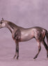 Quill OOAK Chip Thoroughbred  by Julie Keim HS25