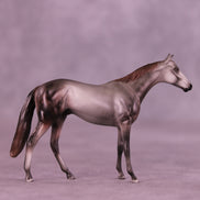 Quill OOAK Chip Thoroughbred  by Julie Keim HS25