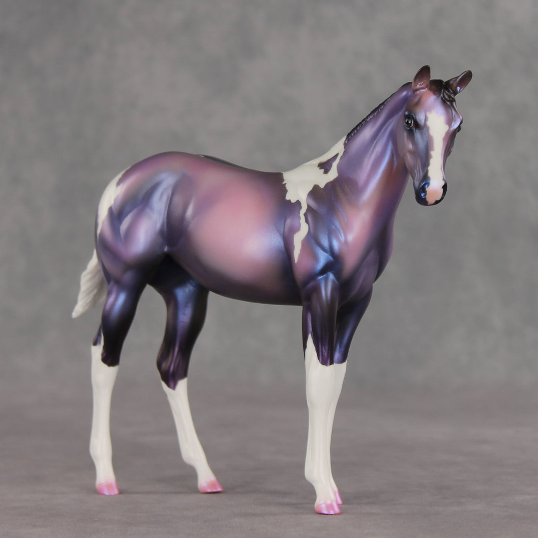 Quinn OOAK Stock Horse Weanling by Carissa Mathews VV26