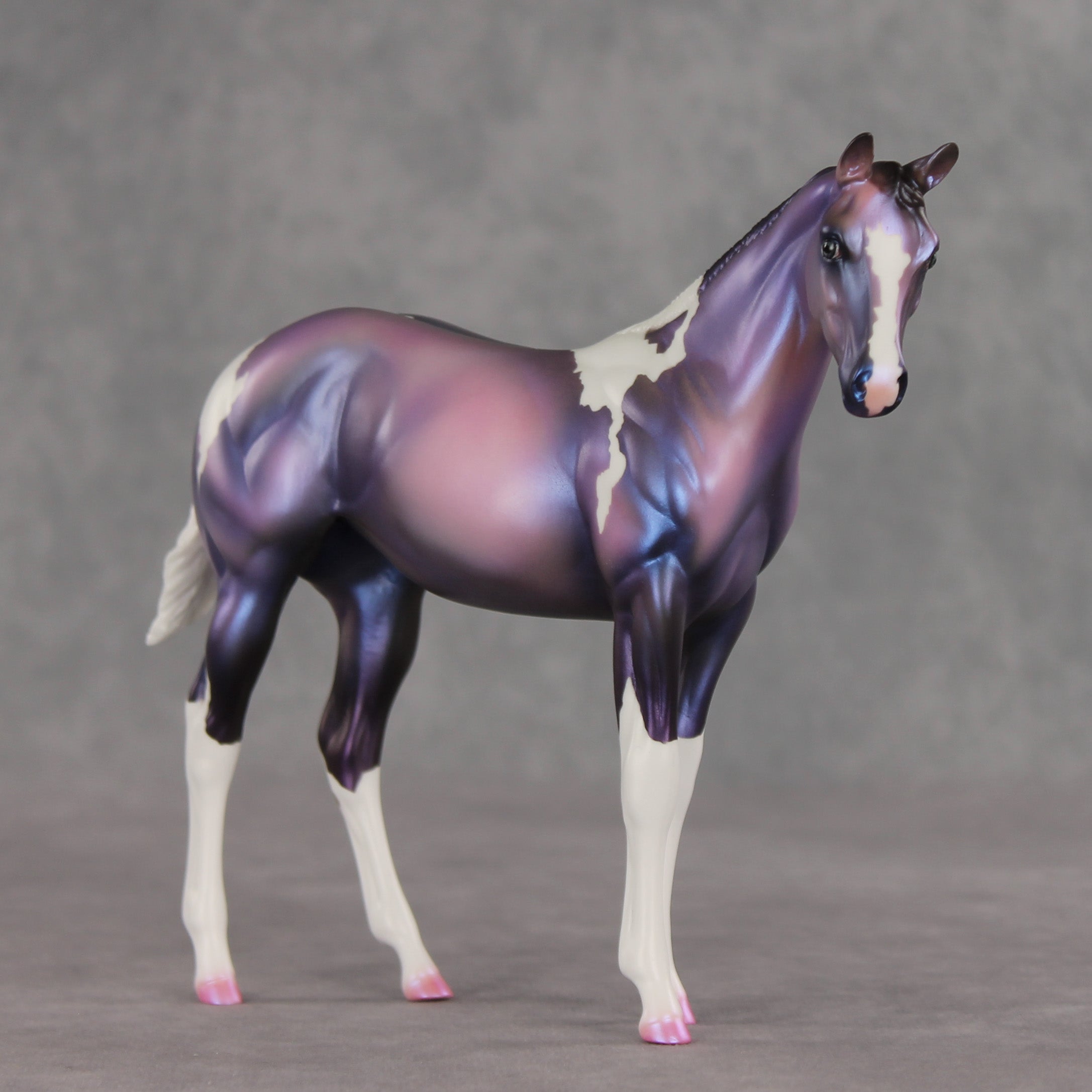 Quinn OOAK Stock Horse Weanling by Carissa Mathews VV26