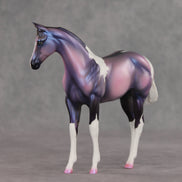 Quinn OOAK Stock Horse Weanling by Carissa Mathews VV26