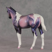 Quinn OOAK Stock Horse Weanling by Carissa Mathews VV26