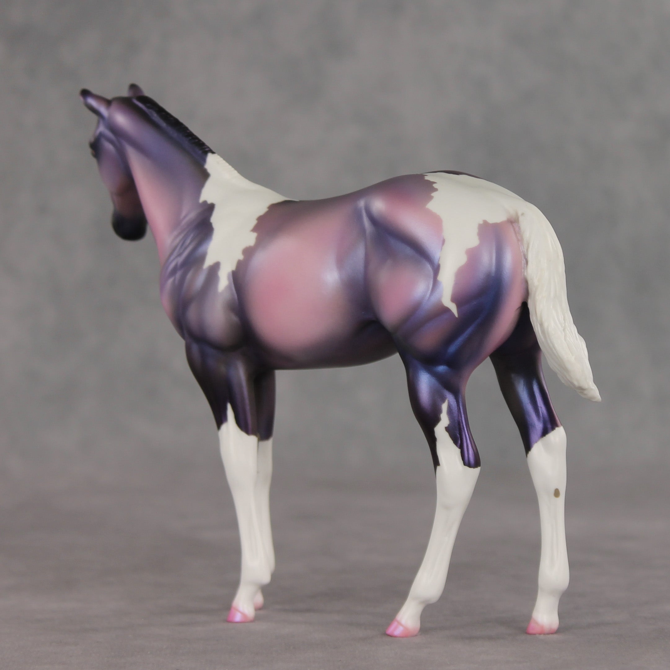 Quinn OOAK Stock Horse Weanling by Carissa Mathews VV26