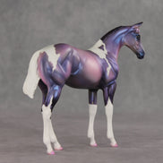 Quinn OOAK Stock Horse Weanling by Carissa Mathews VV26