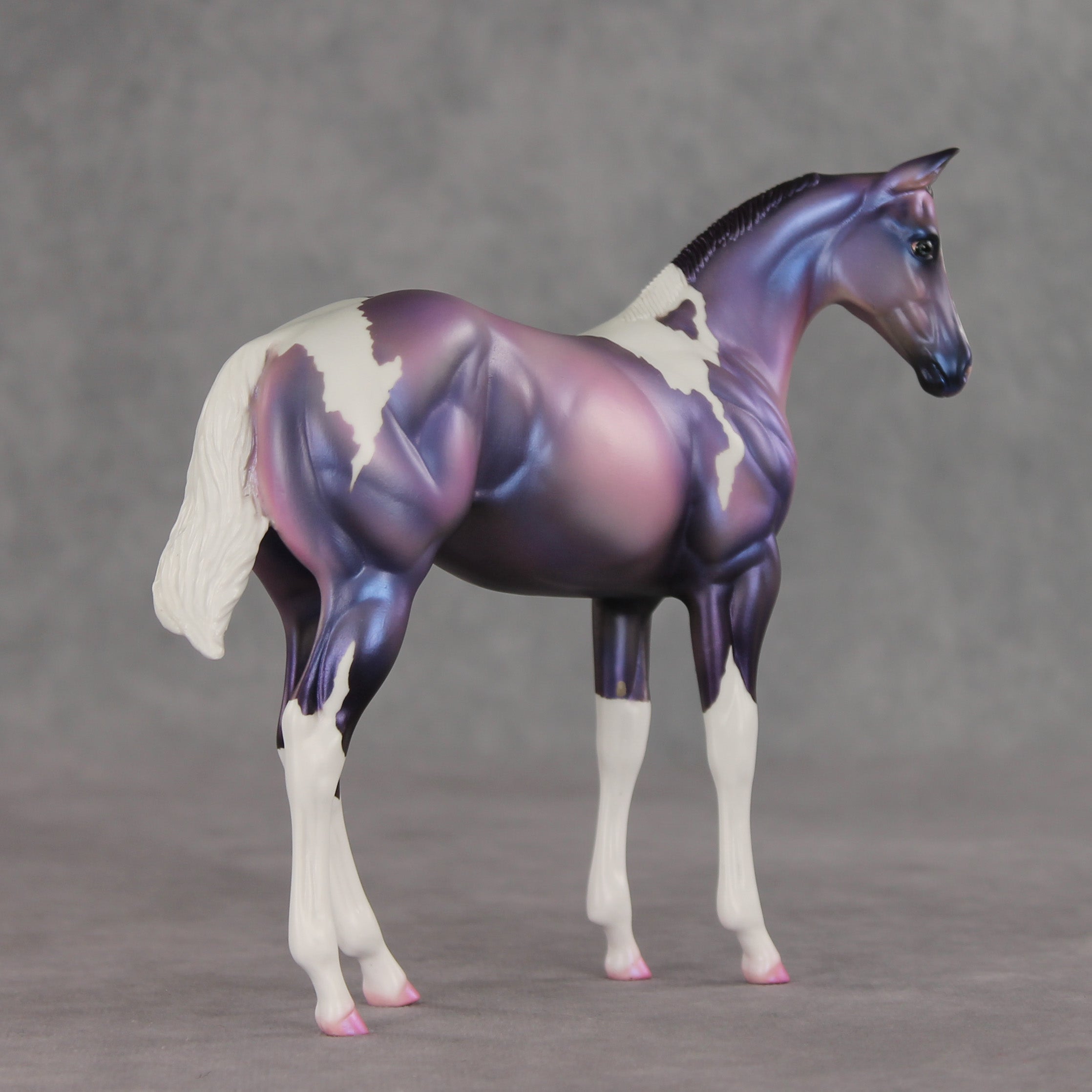 Quinn OOAK Stock Horse Weanling by Carissa Mathews VV26