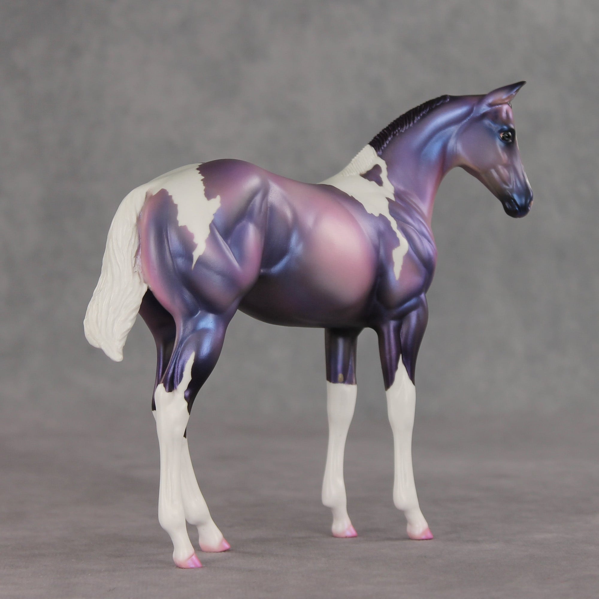 Quinn OOAK Stock Horse Weanling by Carissa Mathews VV26