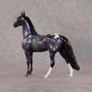 Rasalgethe OOAK Chip Morgan by Jess Hamill SCD26