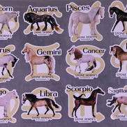 Zodiac Realistic Stickers - Limited Edition