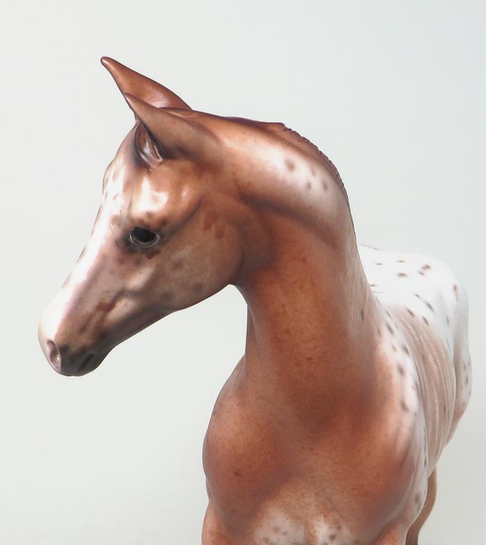 one of a kind weanling