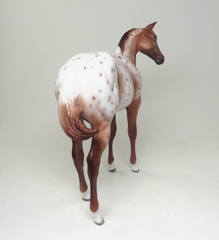 one of a kind sabino weanling enchanting reba