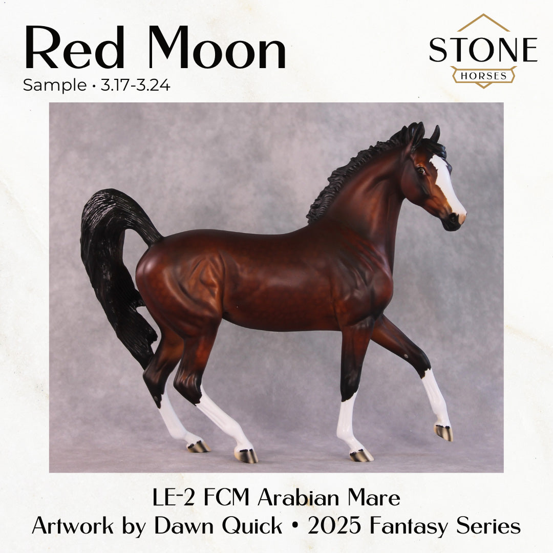 SAMPLE Red Moon LE-14 FCM Arabian Mare by Dawn Quick SS0326