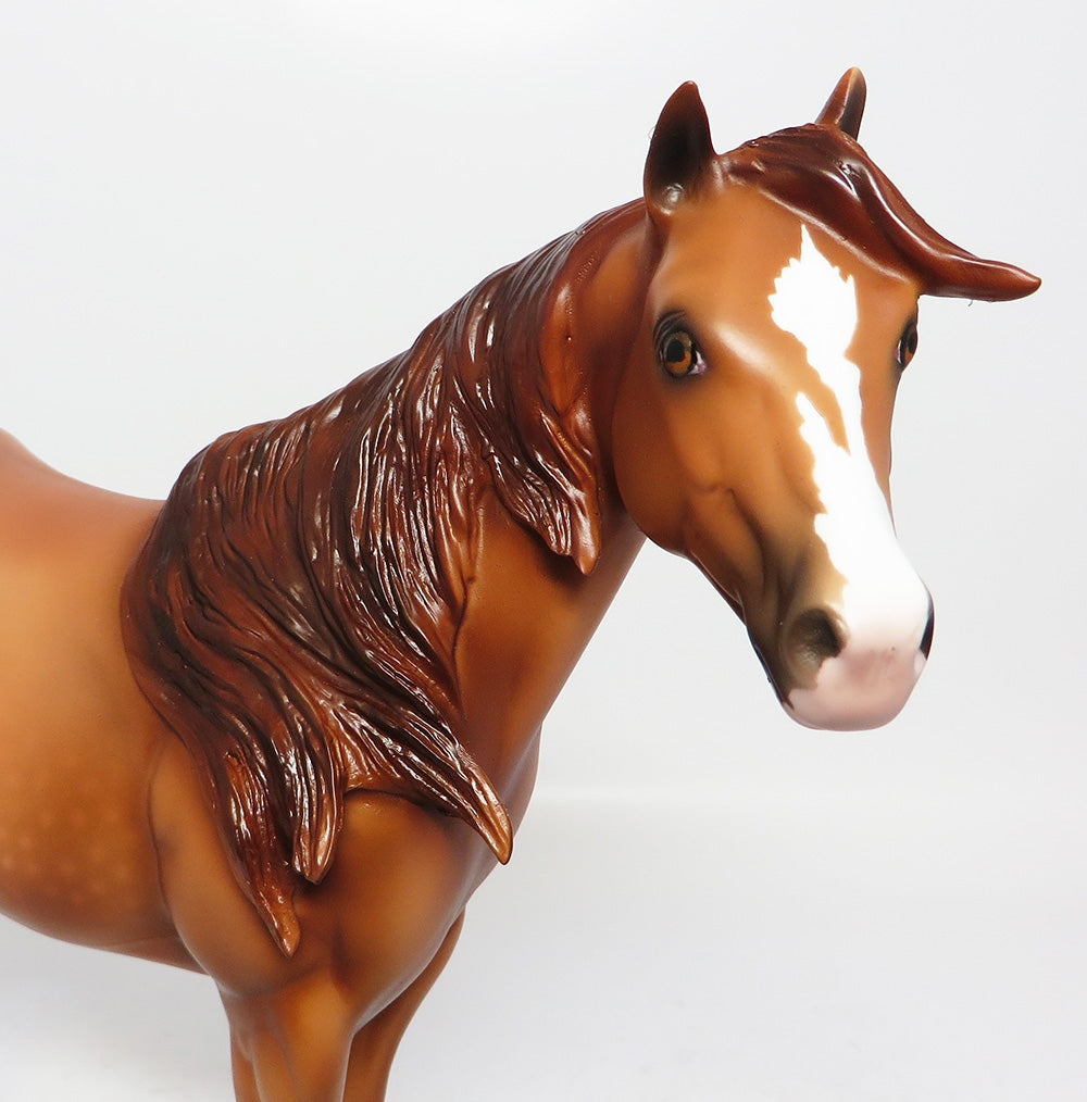 RED NINJA-LE-12 CUSTOM CHESTNUT ISH MODEL HORSE 12-12-17