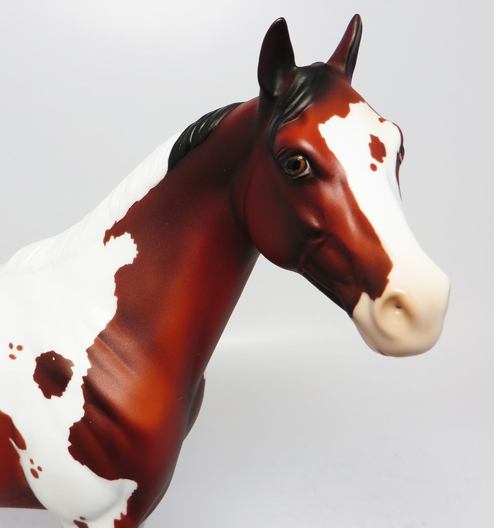 REDWOOD-LE-10 NON CUSTOM BAY PINTOLOOSA MODEL HORSE EQ 2017