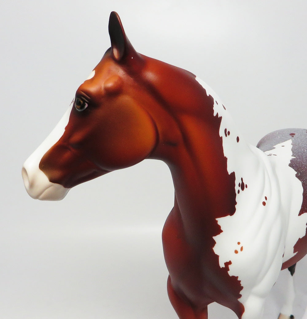 REDWOOD-LE-10 NON CUSTOM BAY PINTOLOOSA MODEL HORSE EQ 2017