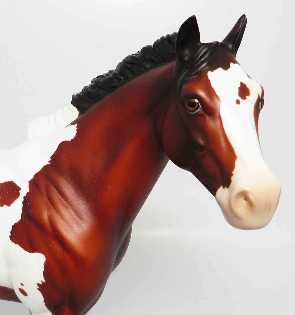 REDWOOD-LE-10 CUSTOM BAY PINTOLOOSA MODEL HORSE EQ 2017