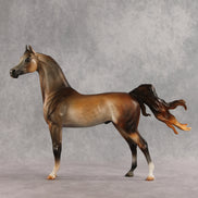 Riddles OOAK FCM Arabian Stallion by Julie Keim VV26