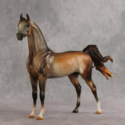 Riddles OOAK FCM Arabian Stallion by Julie Keim VV26