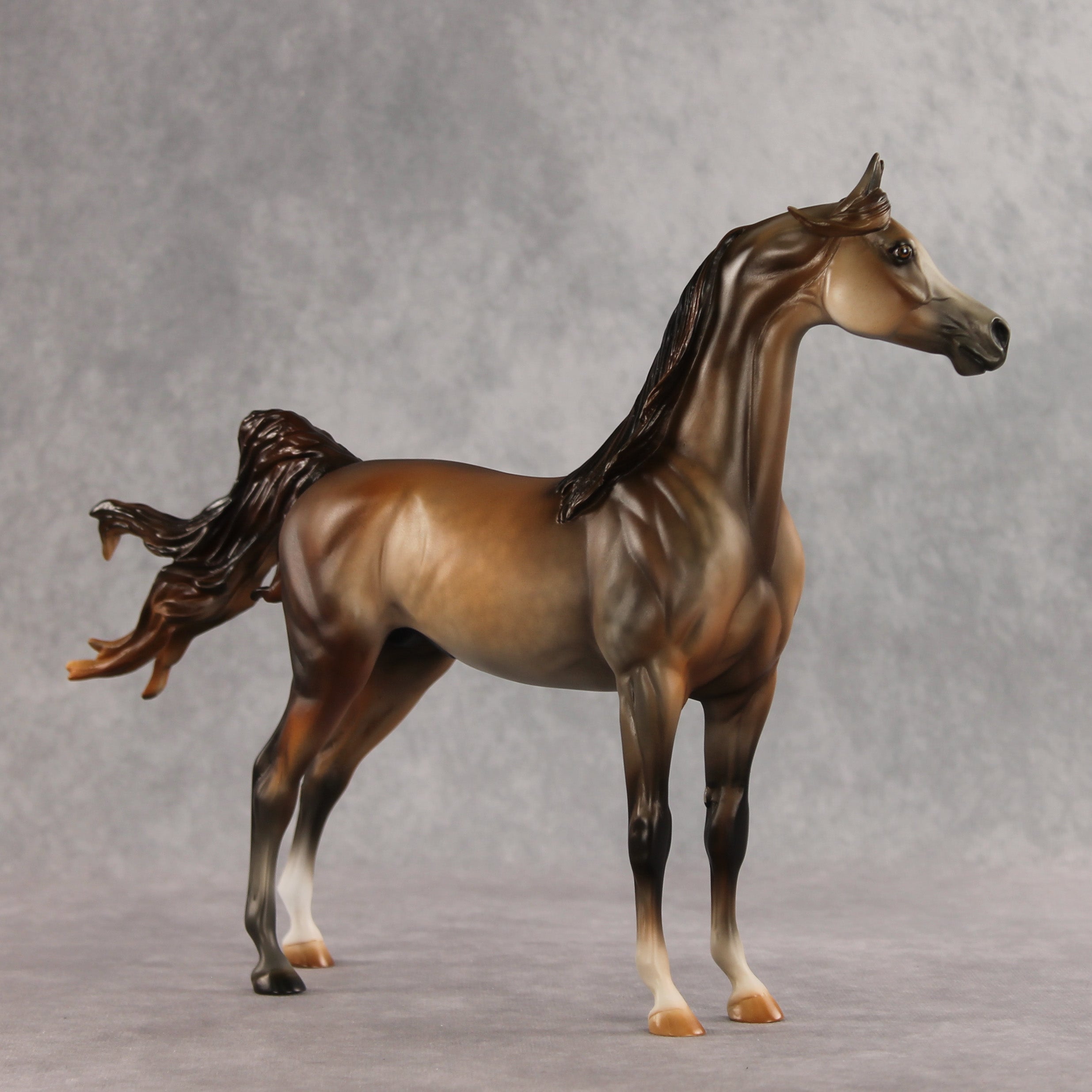 Riddles OOAK FCM Arabian Stallion by Julie Keim VV26