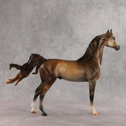 Riddles OOAK FCM Arabian Stallion by Julie Keim VV26