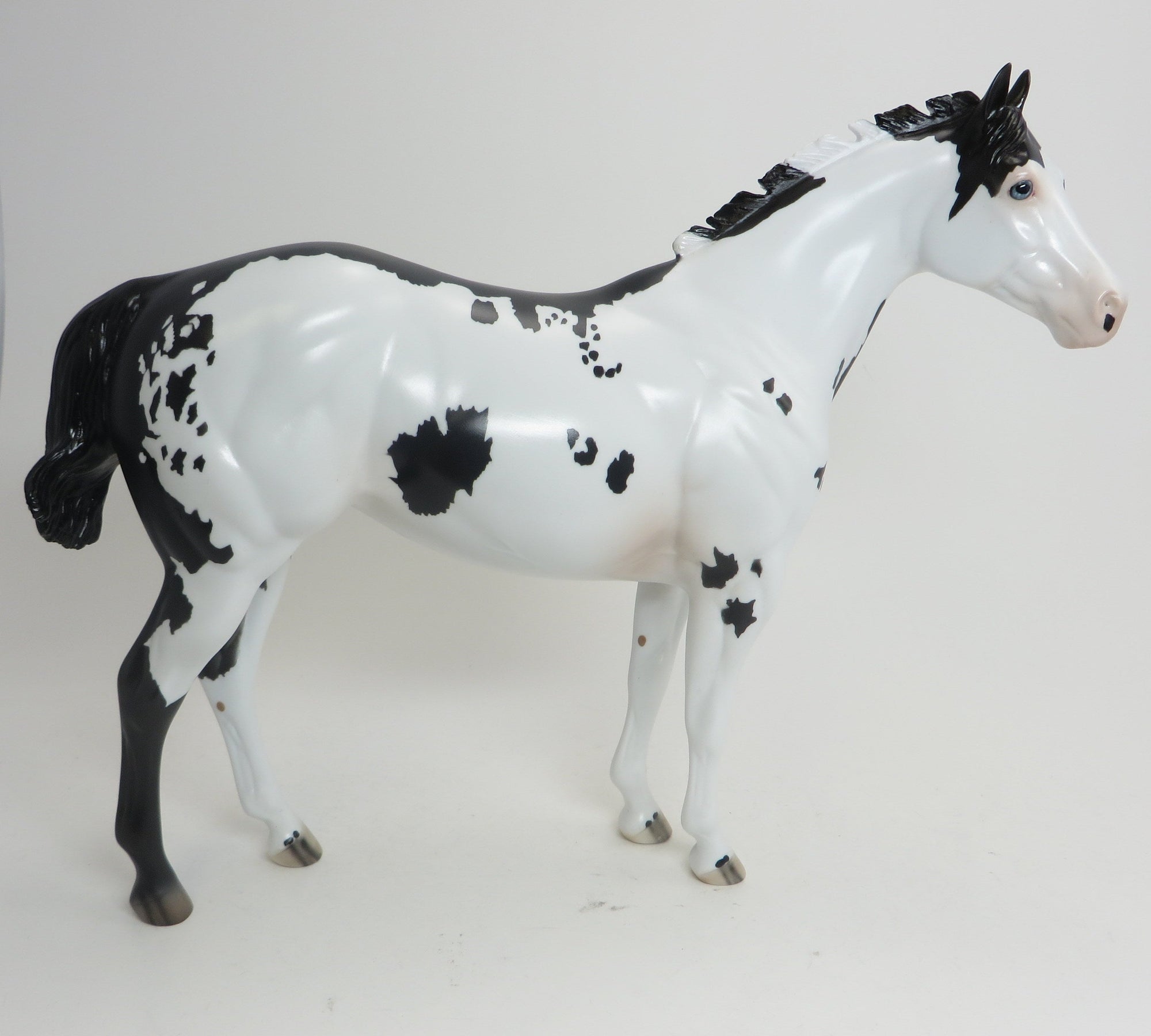 RIDE THE WIND - OOAK Black Framed Overo ISH 9/2