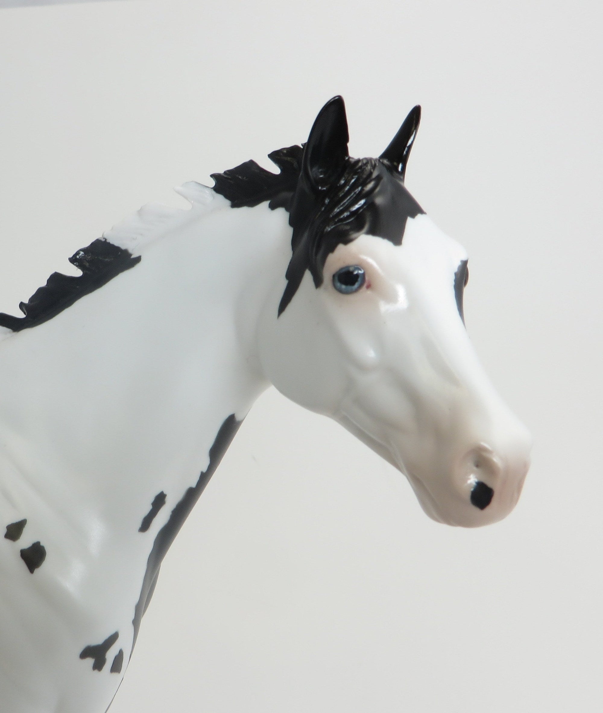 RIDE THE WIND - OOAK Black Framed Overo ISH 9/2