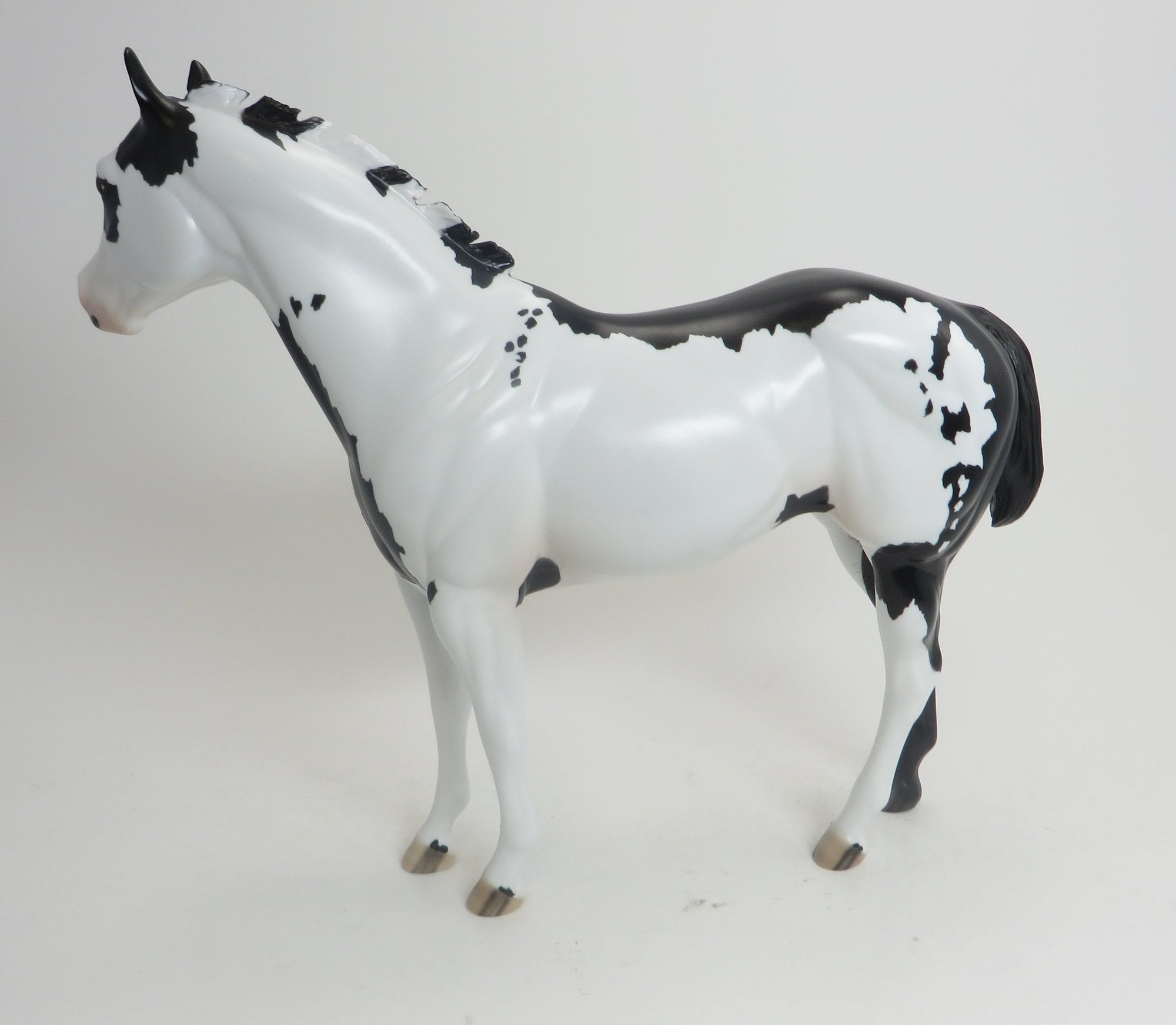 RIDE THE WIND - OOAK Black Framed Overo ISH 9/2