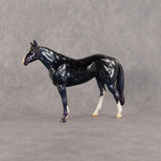 Rigel OOAK Chip Stock Horse by Jess Hamill SCD26