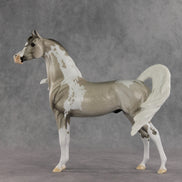 Rising Tide OOAK FCM Arabian Stallion by Dawn Quick VV26