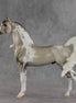 Rising Tide OOAK FCM Arabian Stallion by Dawn Quick VV26