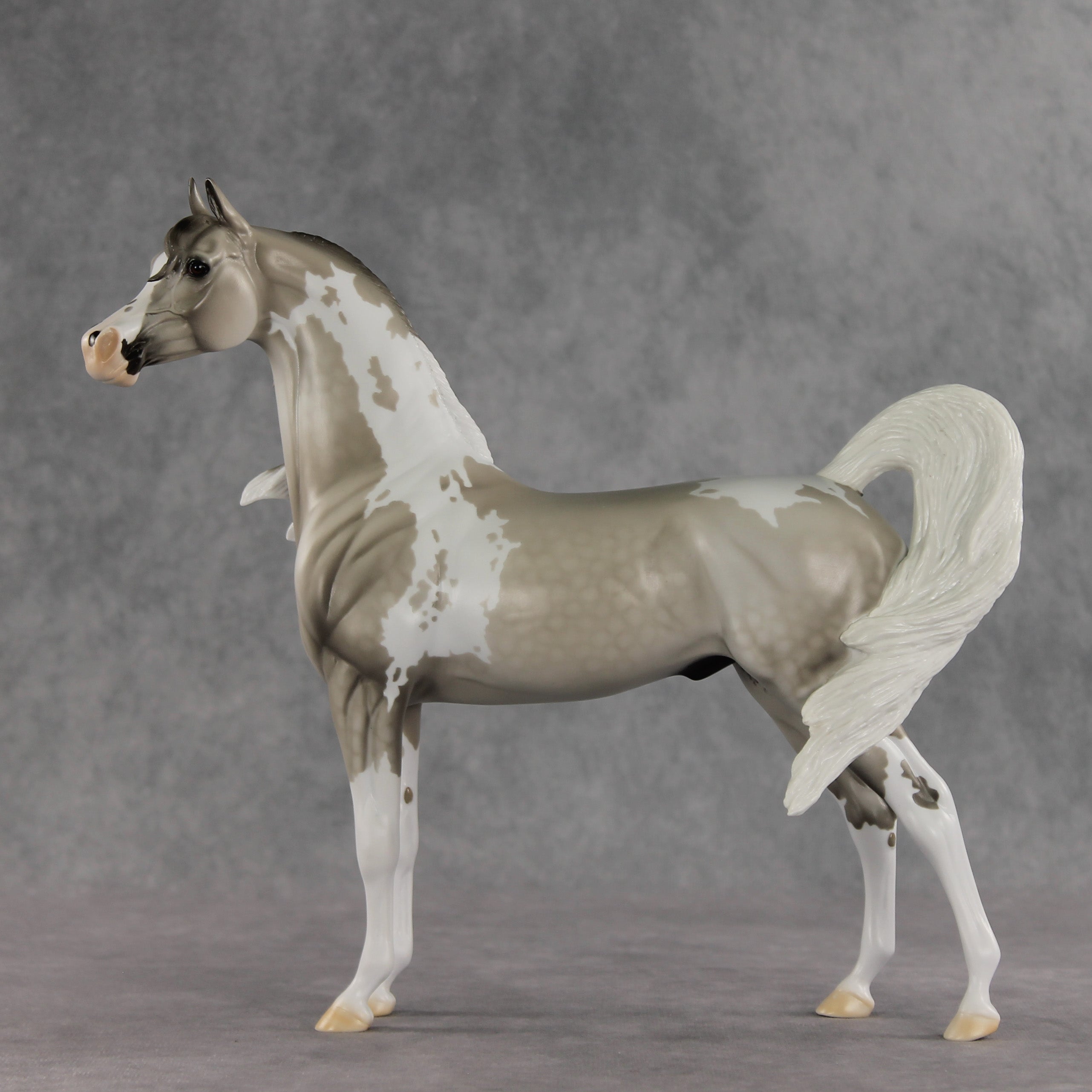 Rising Tide OOAK FCM Arabian Stallion by Dawn Quick VV26