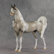 Rising Tide OOAK FCM Arabian Stallion by Dawn Quick VV26