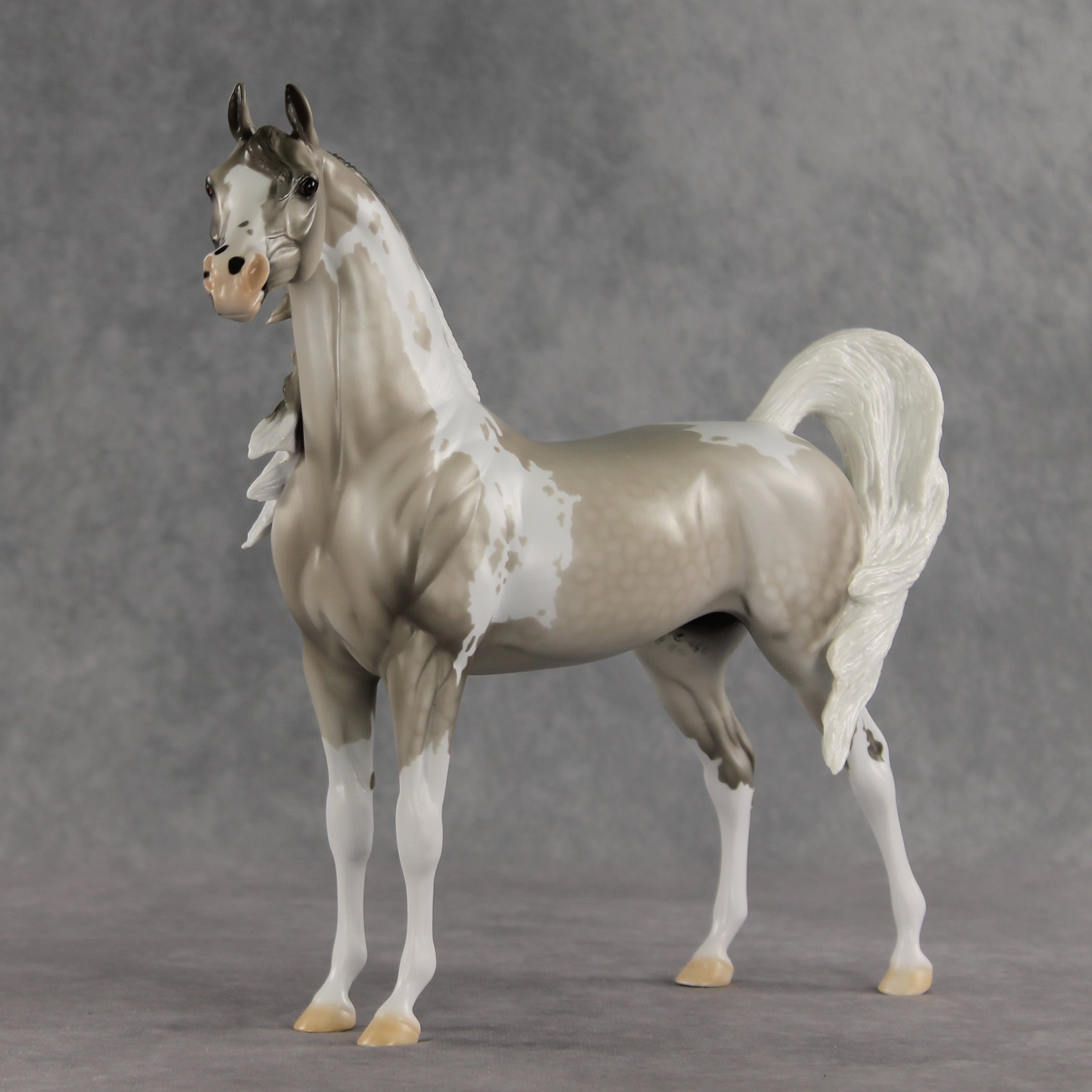 Rising Tide OOAK FCM Arabian Stallion by Dawn Quick VV26