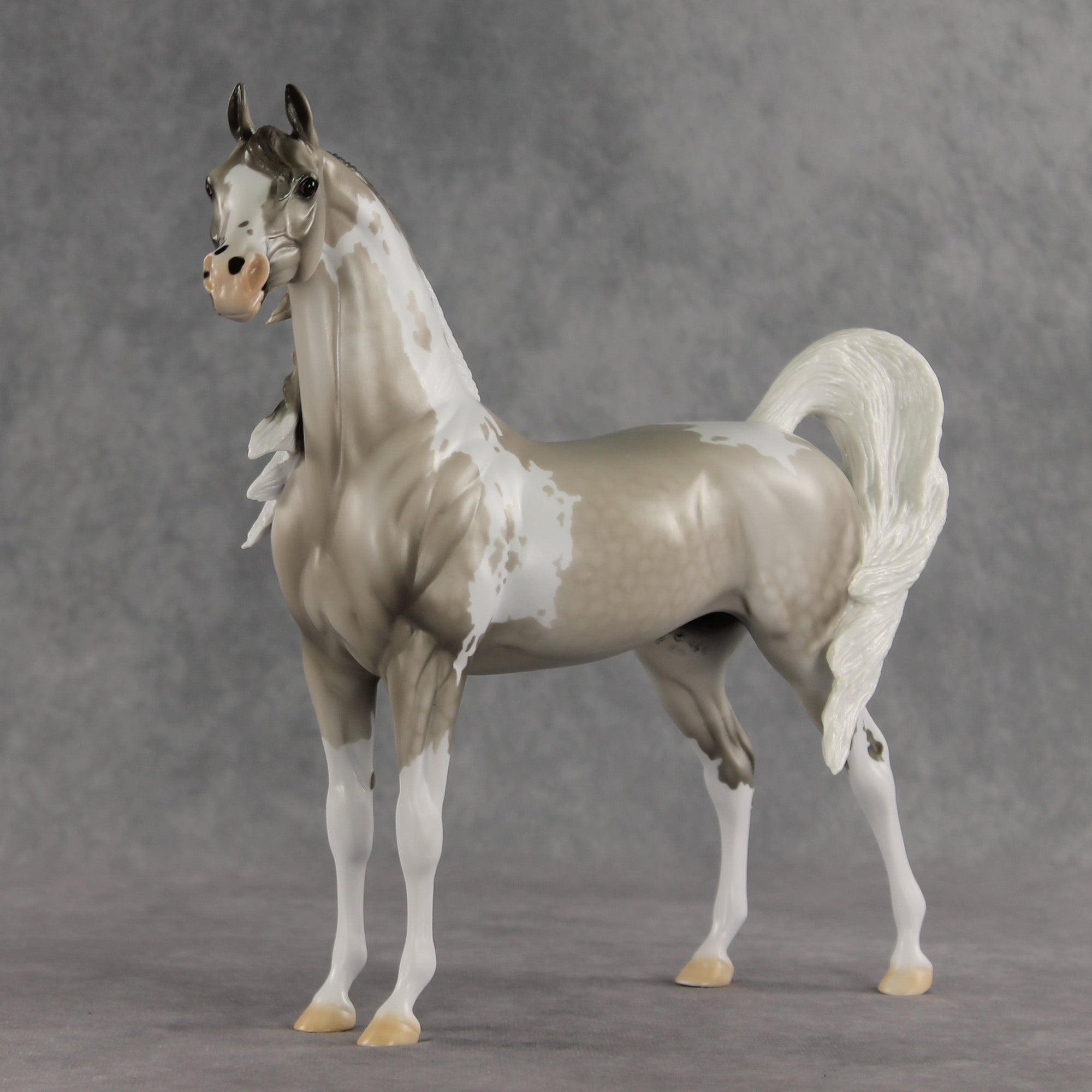 Rising Tide OOAK FCM Arabian Stallion by Dawn Quick VV26