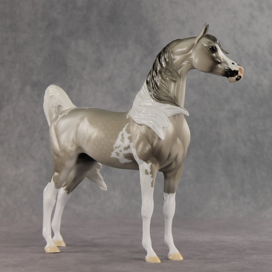 Rising Tide OOAK FCM Arabian Stallion by Dawn Quick VV26