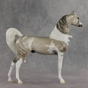 Rising Tide OOAK FCM Arabian Stallion by Dawn Quick VV26
