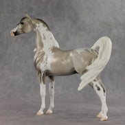 Rising Tide OOAK FCM Arabian Stallion by Dawn Quick VV26