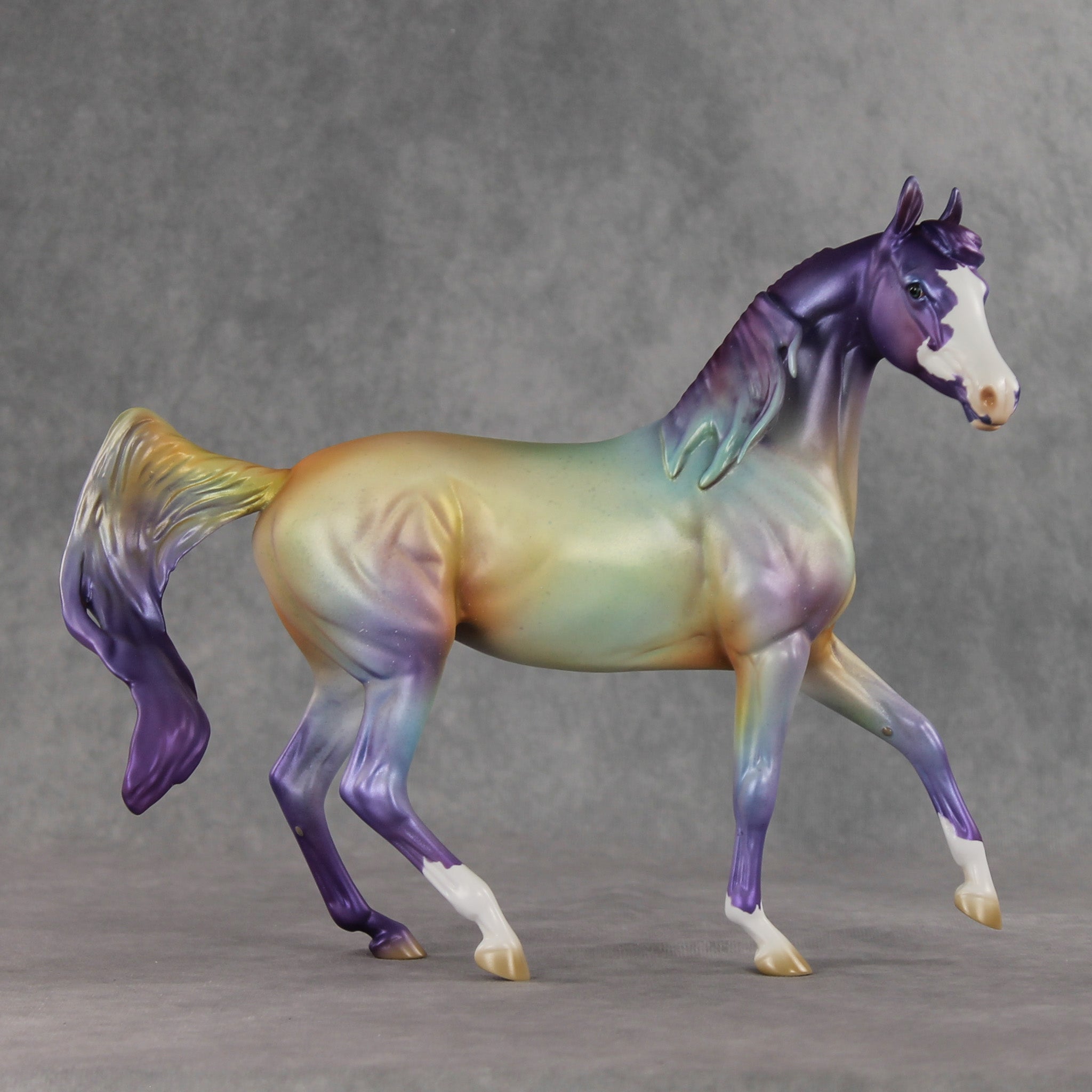 Roanbow OOAK FCM Arabian Mare by Jess Hamill VV26