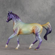 Roanbow OOAK FCM Arabian Mare by Jess Hamill VV26