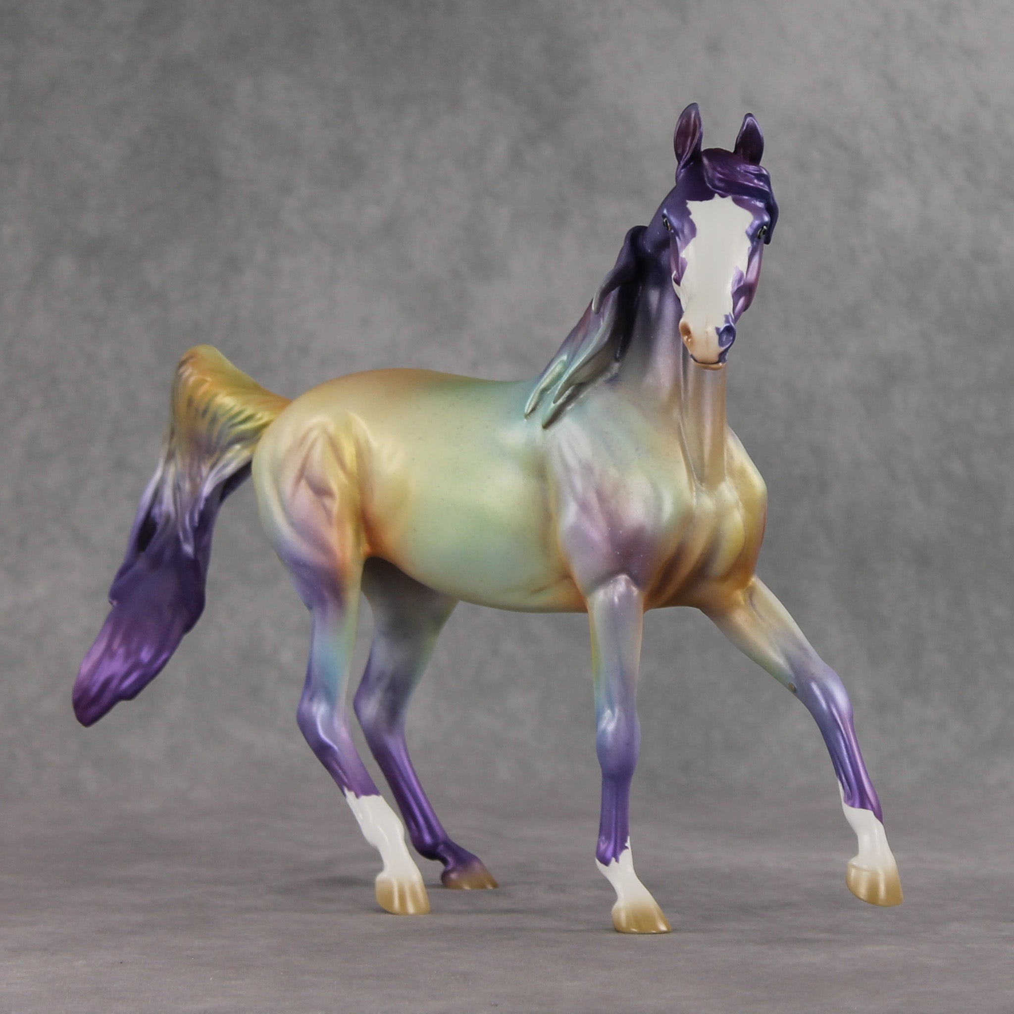 Roanbow OOAK FCM Arabian Mare by Jess Hamill VV26