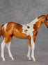 Robbinses OOAK Stock Horse Weanling by Erin Corbett VV26