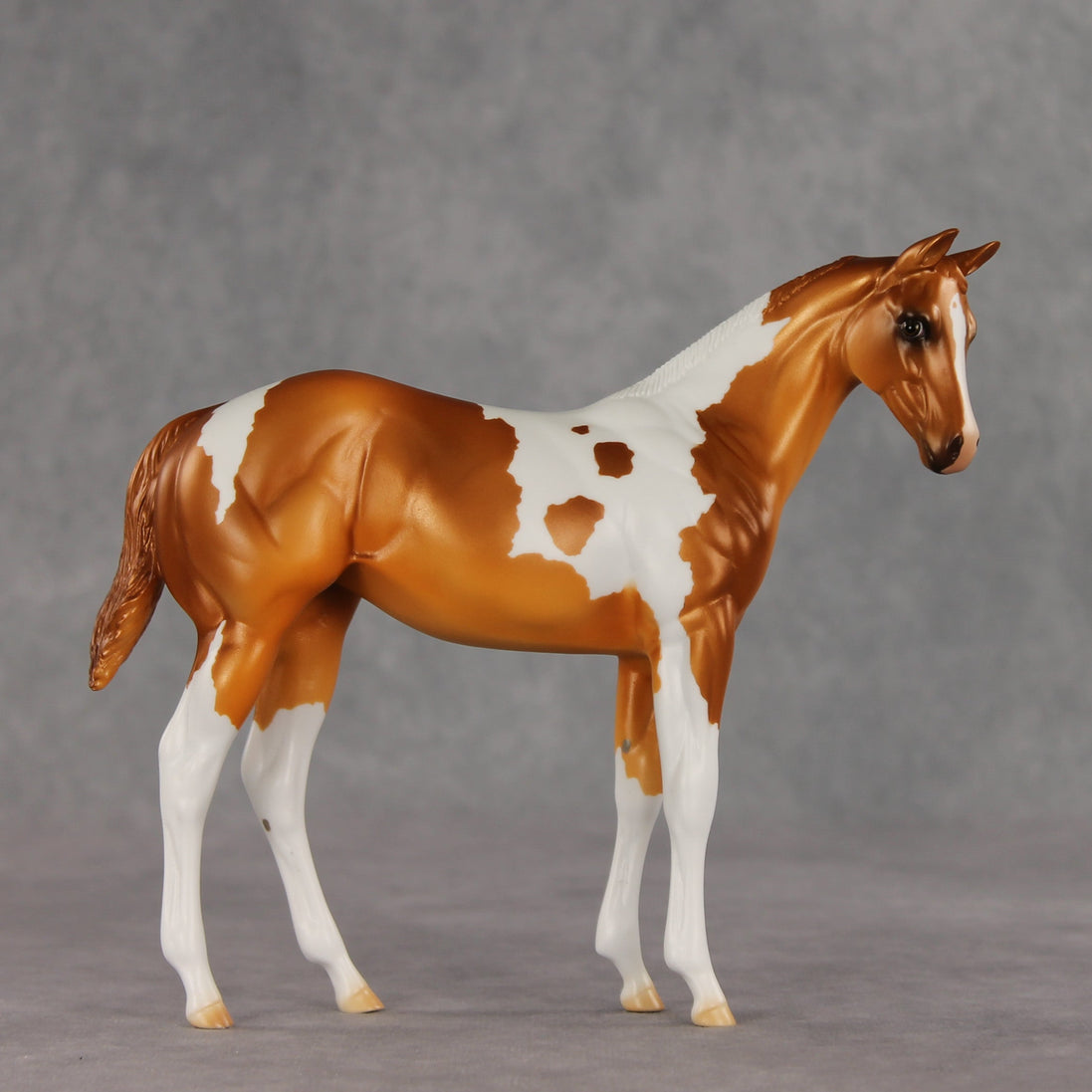 Robbinses OOAK Stock Horse Weanling by Erin Corbett VV26