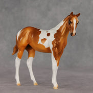 Robbinses OOAK Stock Horse Weanling by Erin Corbett VV26